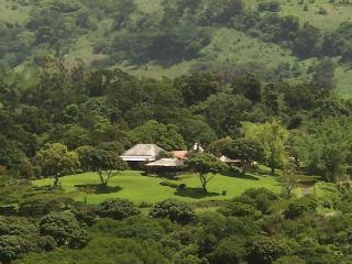 Arial View (front)